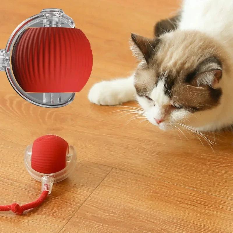 Bola de brinquedo para gato, auto provocação, bola de rolamento para gato, cabelo de animal de estimação, alívio do tédio, pelúcia, provocação, bola de gato, brinquedos para gatos, animais de estimação