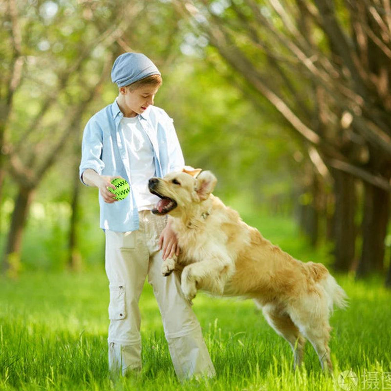 Bola de comida para cachorro, brinquedo interativo para cães de estimação, bolas de borracha para cães pequenos e grandes, brinquedos de mastigação para filhotes e gatos, limpeza de dentes de animais de estimação